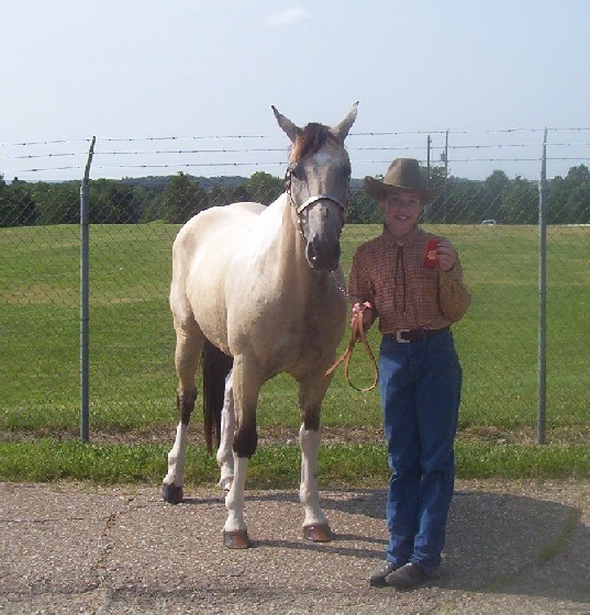 Rocky the Show horse with ribbon