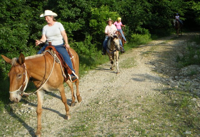 Riders on the ranch