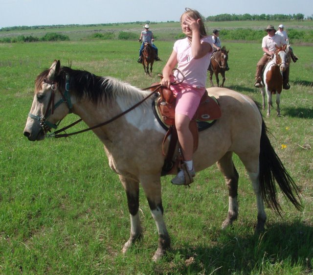 The Rocky the ranch horse