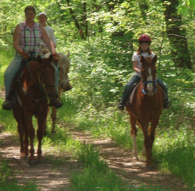 Horse riders on trail