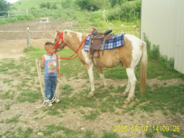 Boy and pony