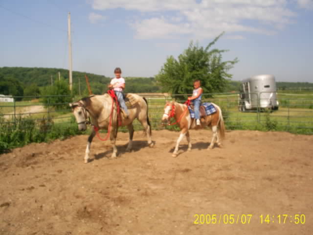 girl, boy, horse, pony