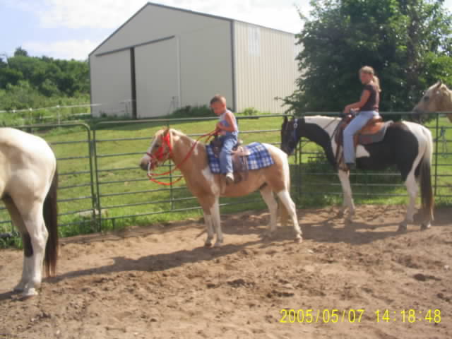 Boy and pony in the round ring